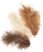 Marabų plunksnos 10 cm (rudos)